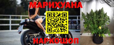 прущие грибы Тулун