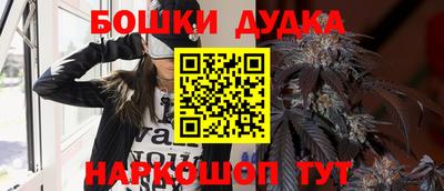 индика Тула