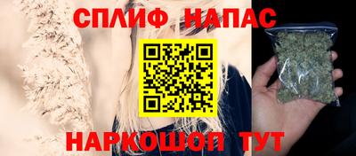 прущие грибы Тулун