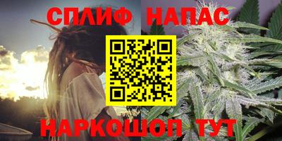 прущие грибы Тулун