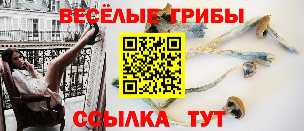 Новочеркасск  Псилоцибиновые грибы Psilocybine cubensis  Галлюциногенные грибы Magic Shrooms  даркнет сайт  Вход с VPN 