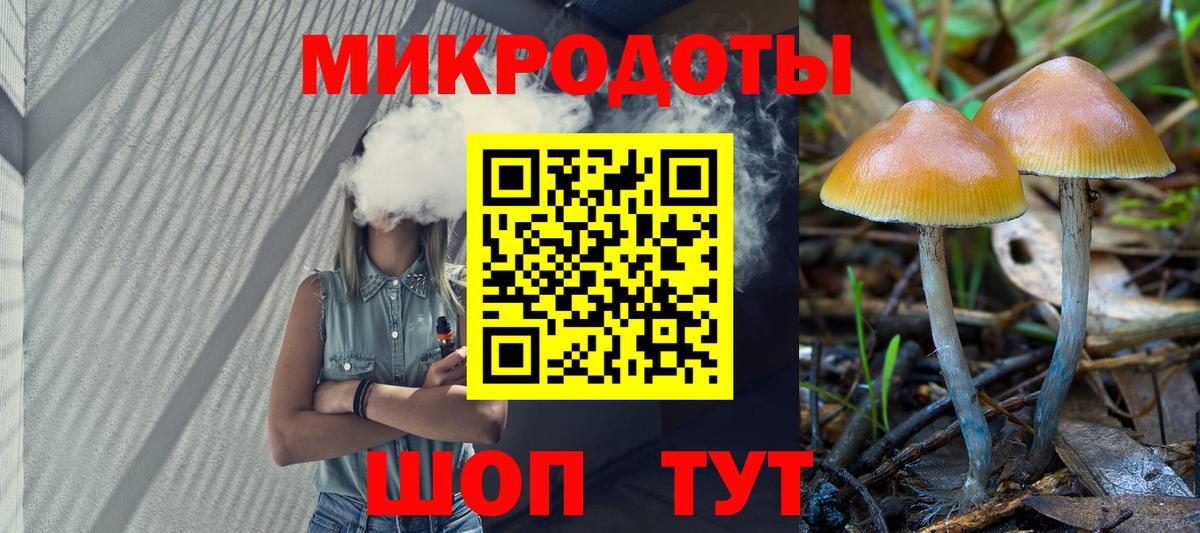 Псилоцибиновые грибы мицелий Новочеркасск